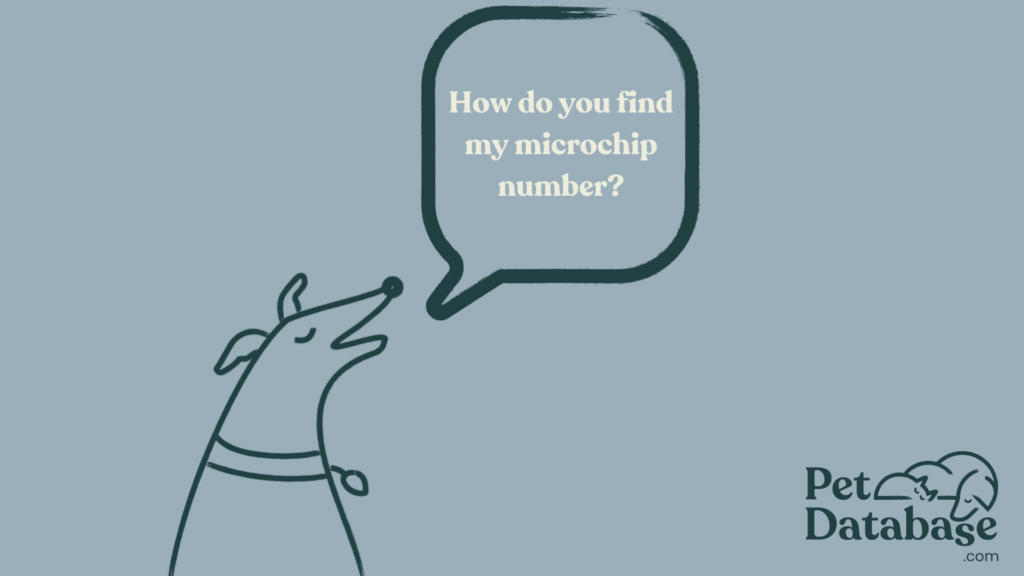 pet-database-keep-your-pet-safe-and-found